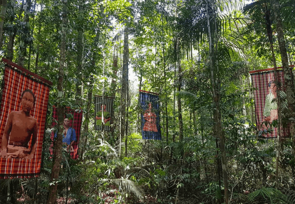 musa museu da amazonia exposicoes manaus