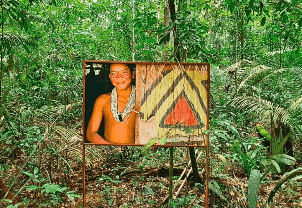 musa museu manaus