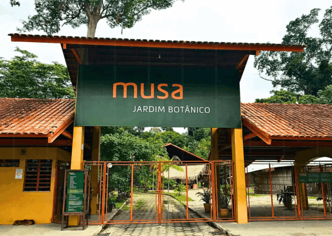 MUSA Manaus: Guia Completo do Museu da Amazônia
