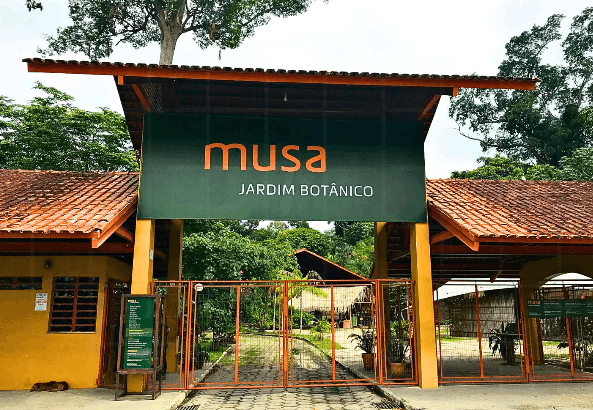 MUSA Manaus: Guia Completo do Museu da Amazônia