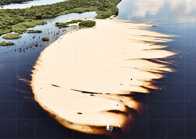 Novo Airão e o Parque Nacional de Anavilhanas: O Guia Completo e Definitivo