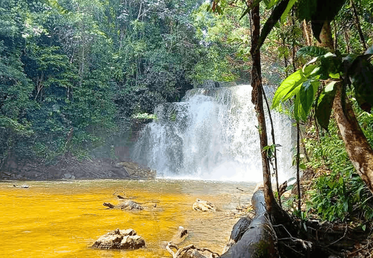 Guia Completo de Presidente Figueiredo: A Terra das Cachoeiras no Amazonas