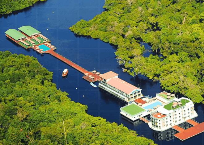 Top 5 Melhores Hotéis de Selva na Amazônia: Guia Completo