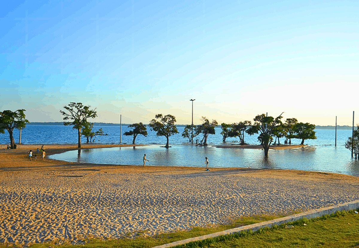 Agroturismo em Maués: Rota do Guaraná e Produção Rural