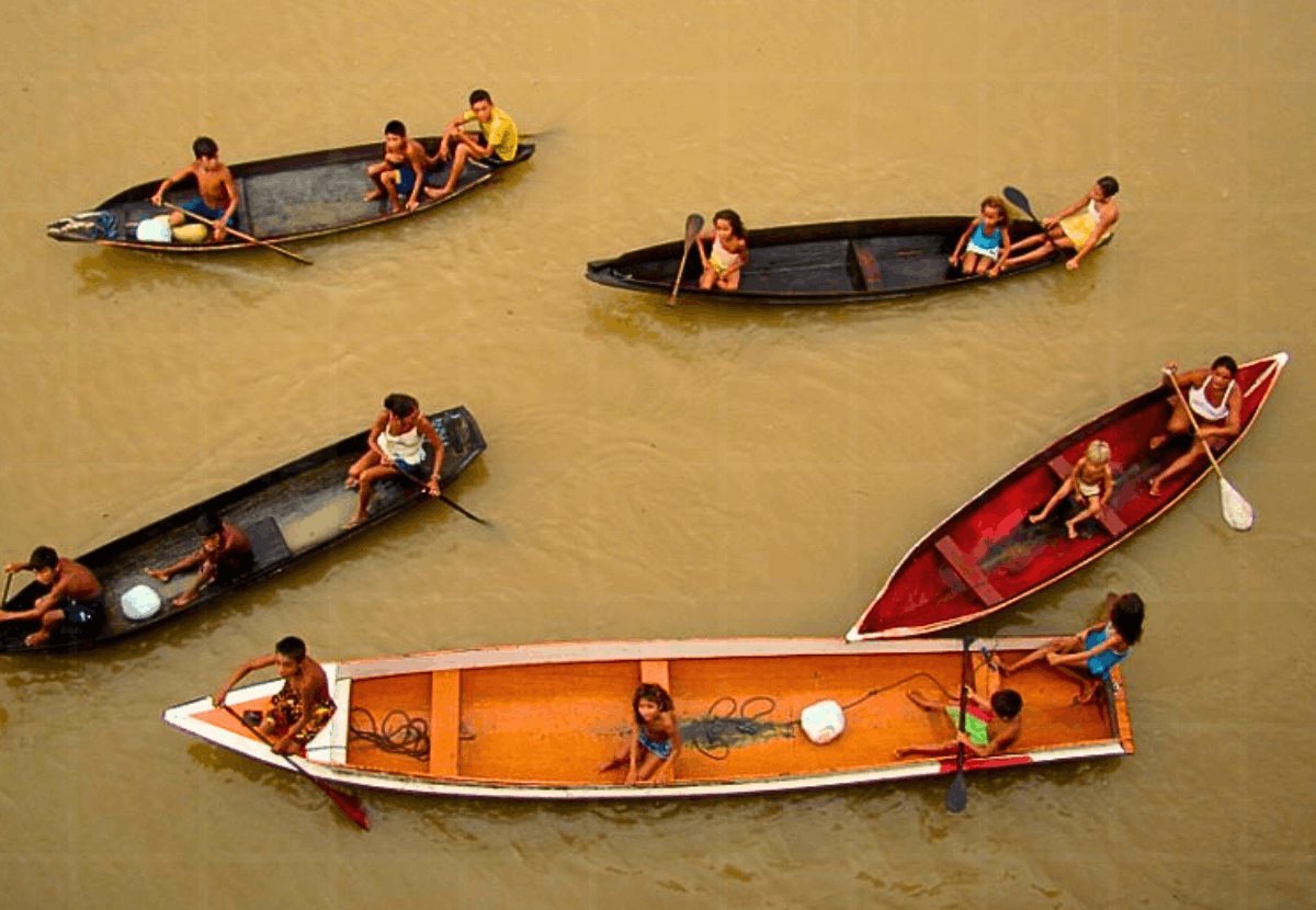 Carpintaria Naval Ribeirinha: Como é Feita a Canoa Amazônica