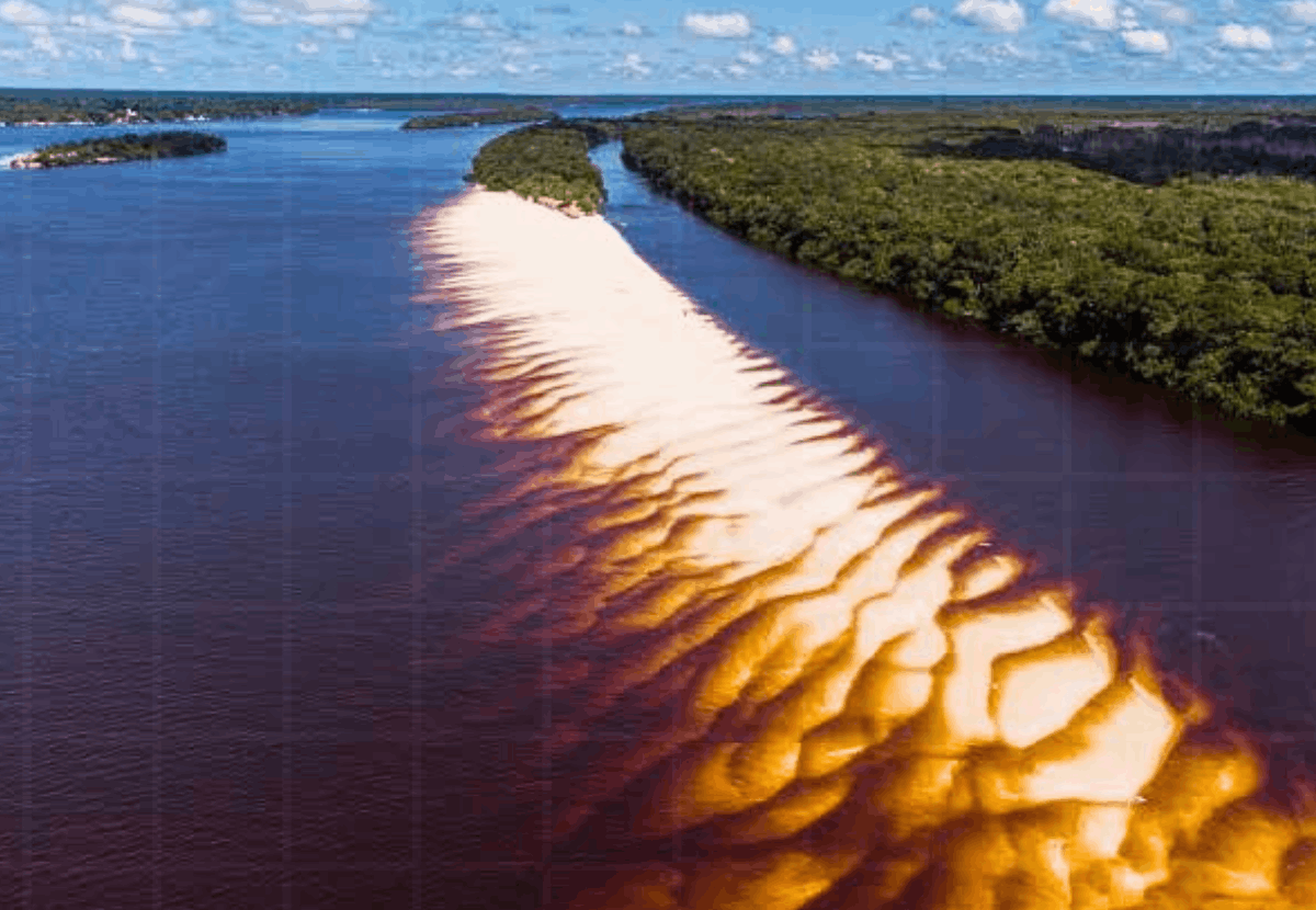 Pesca Barcelos Amazonas: Guia do Turismo e Tucunaré-Açu