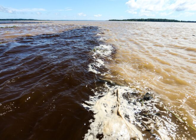 Encontro das Águas em Manaus: como visitar e o que observar
