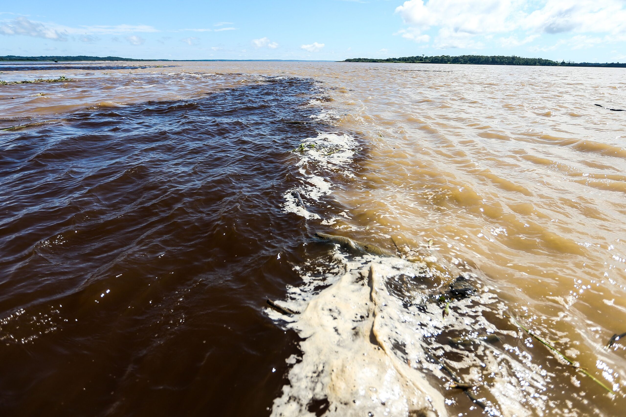 Encontro das Águas em Manaus: como visitar e o que observar