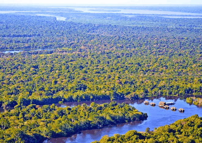 Reserva Mamirauá: O Turismo Científico e a Experiência na Pousada Uacari