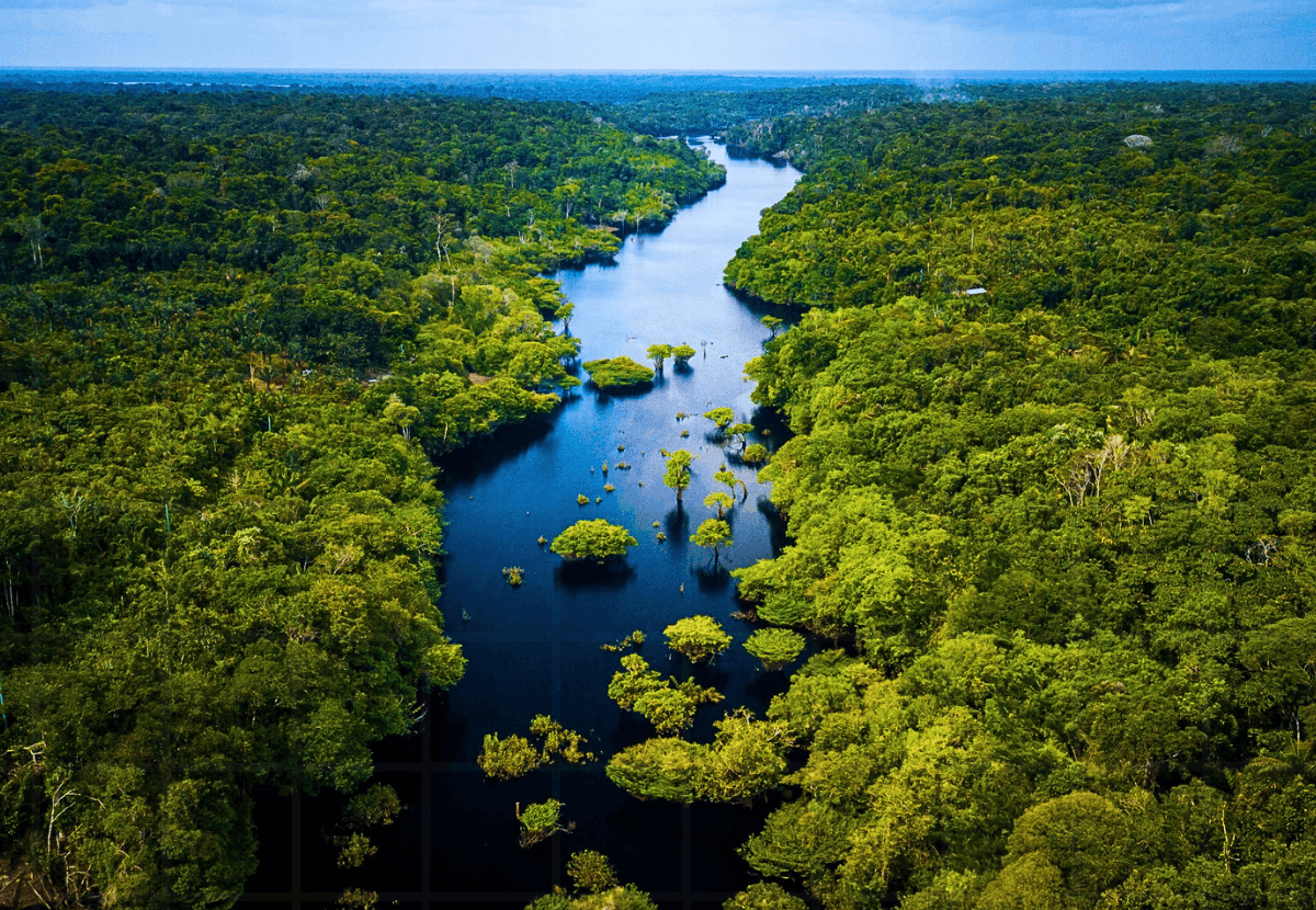 Quanto Custa Viajar para a Amazônia? Preços e Pacotes