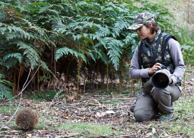 Fotografia na Amazônia: Como Preparar Sua Câmera para Fauna e Floresta