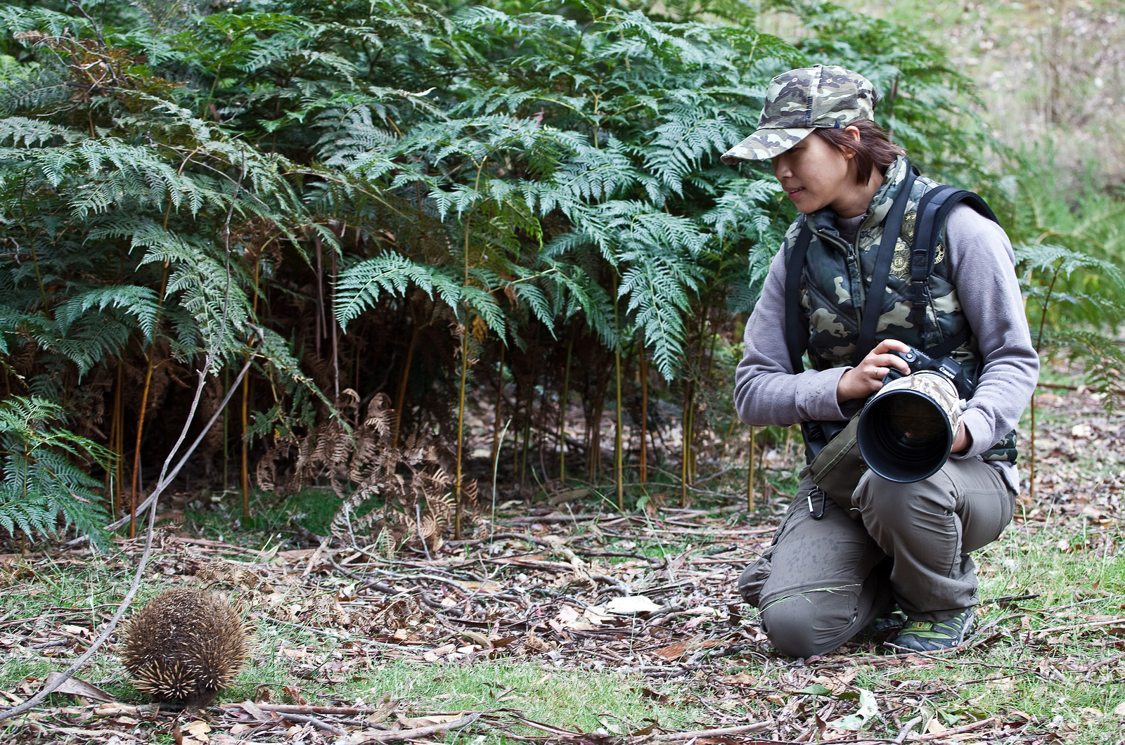 Fotografia na Amazônia: Como Preparar Sua Câmera para Fauna e Floresta