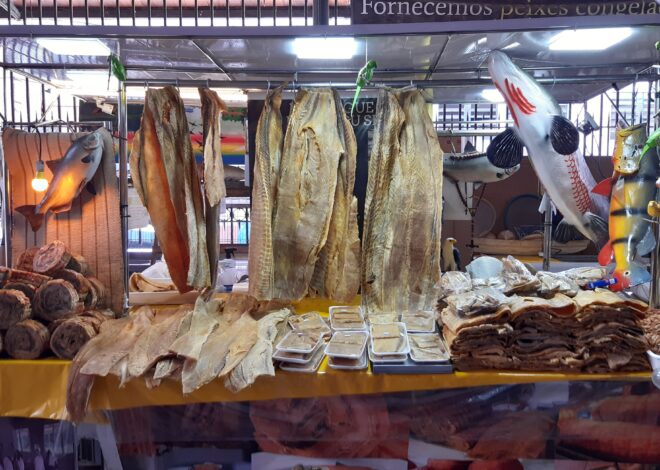 Mercado Adolpho Lisboa: o retrato vivo da Amazônia em pleno Centro de Manaus