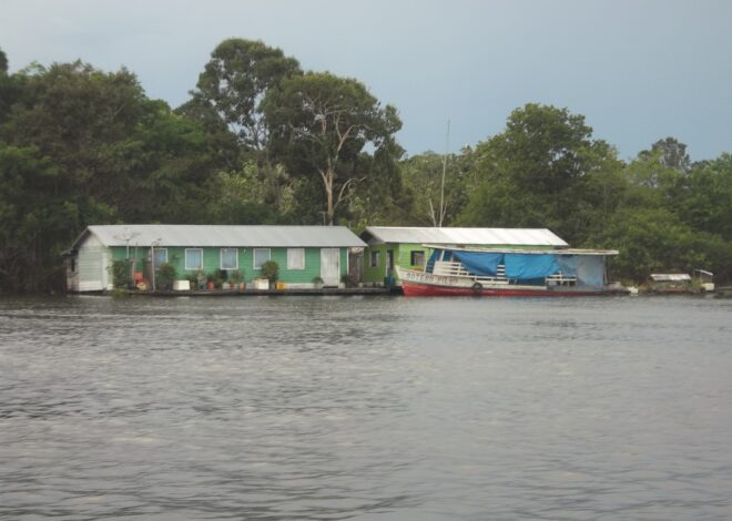 Vida Ribeirinha no Rio Negro: Como é Morar em uma Casa Flutuante na Amazônia